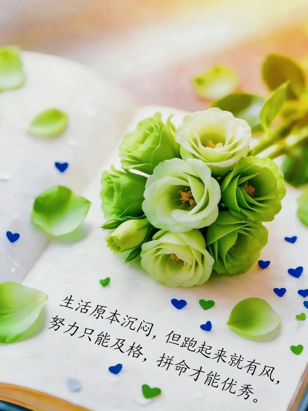 很励志的金句生活原本沉闷，但跑起来就有风，努力只能及格，拼命才能优秀[赞]