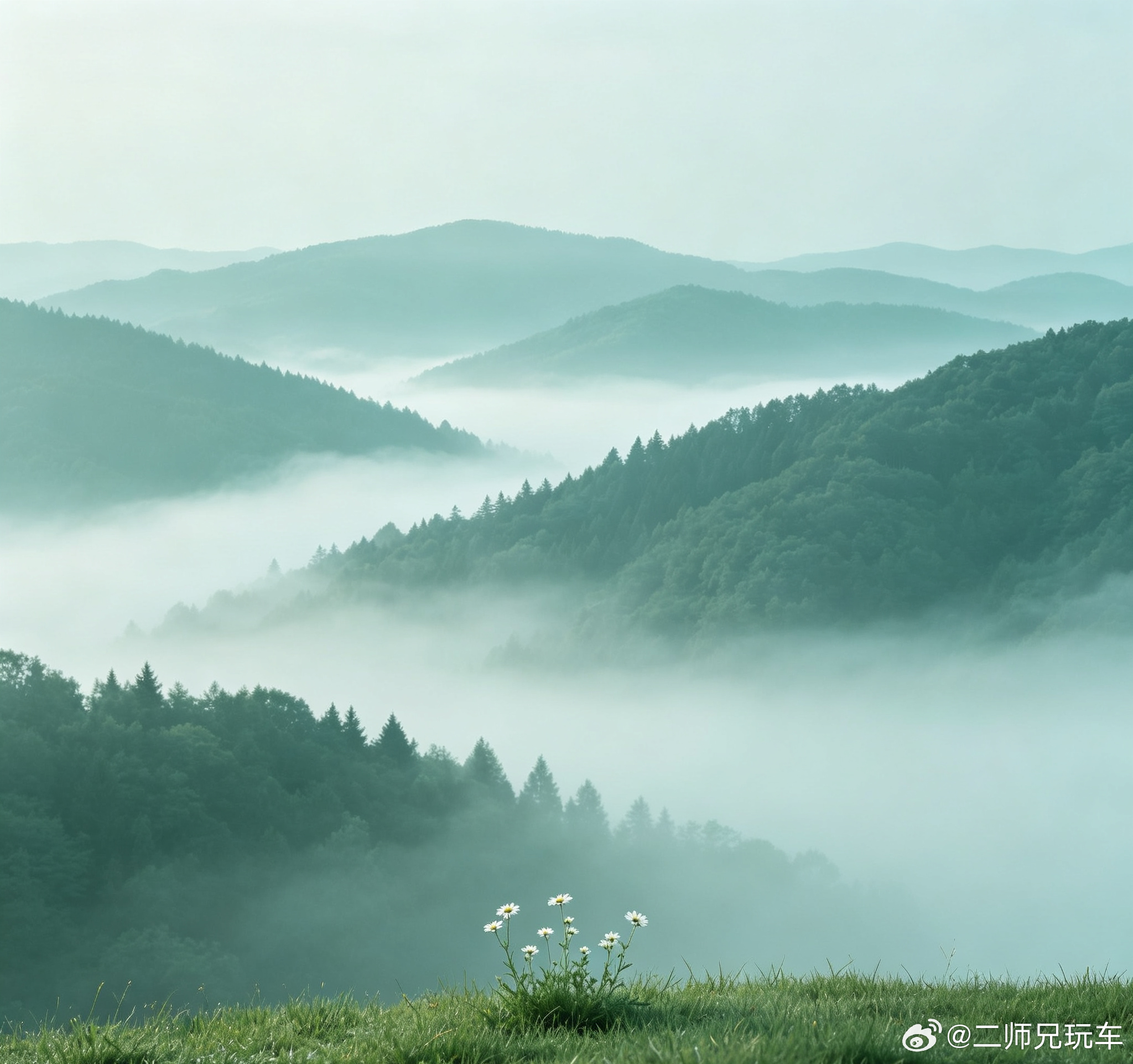 二师兄“各抒己见”系列之你会不会因为车辆智能互联功能过度收集隐私信息而选择关闭？