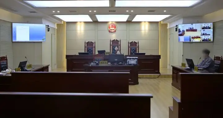 湖北阳新：朝思暮想的LV包，是真还是假？