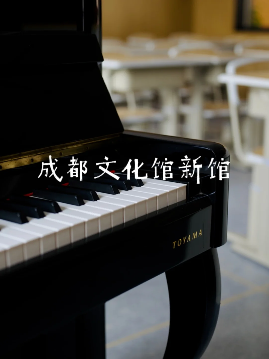 成都又一文化新地标来了 ‼️学习免费️👩‍🏫