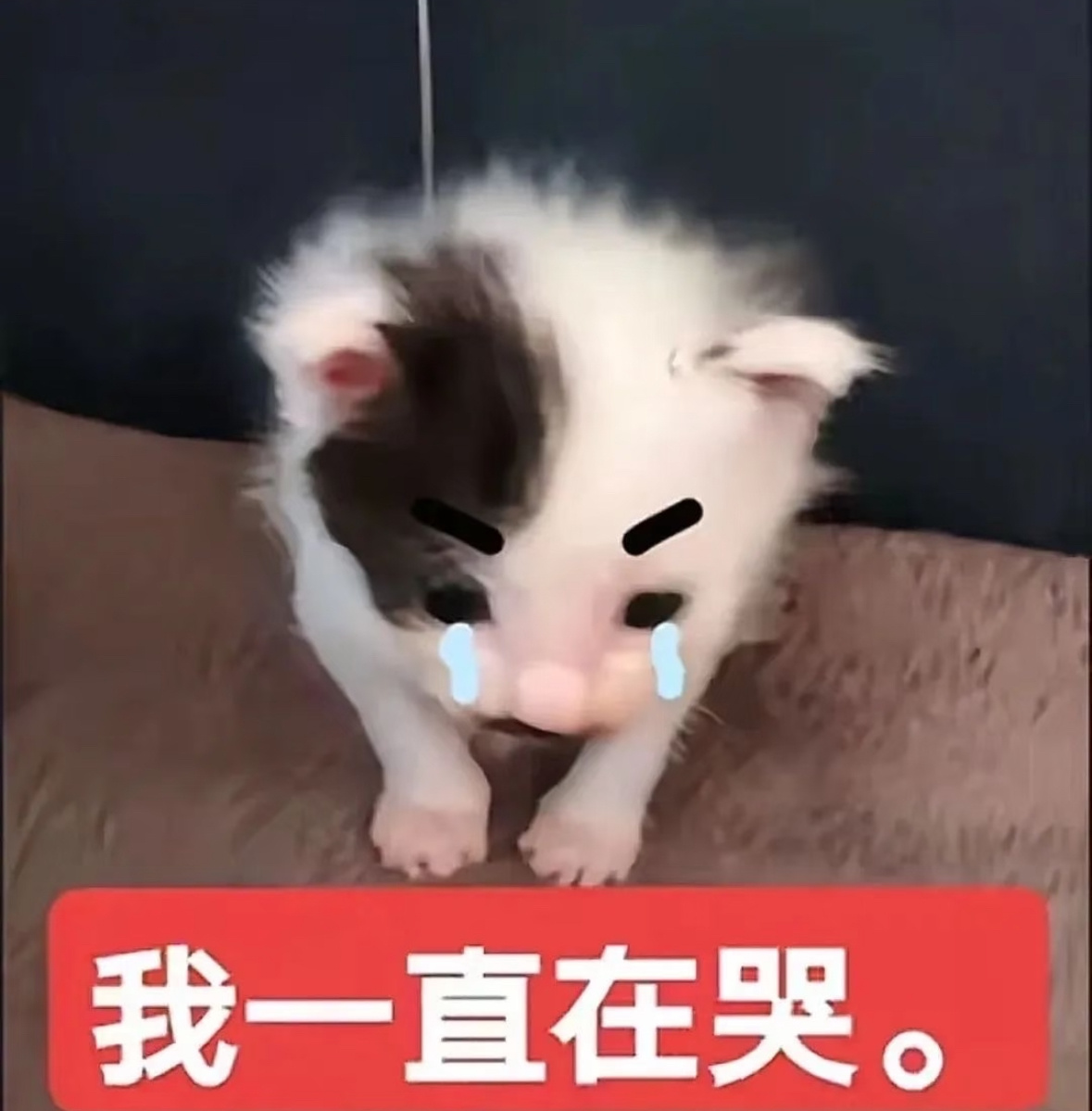 线上小石榴欣情： 