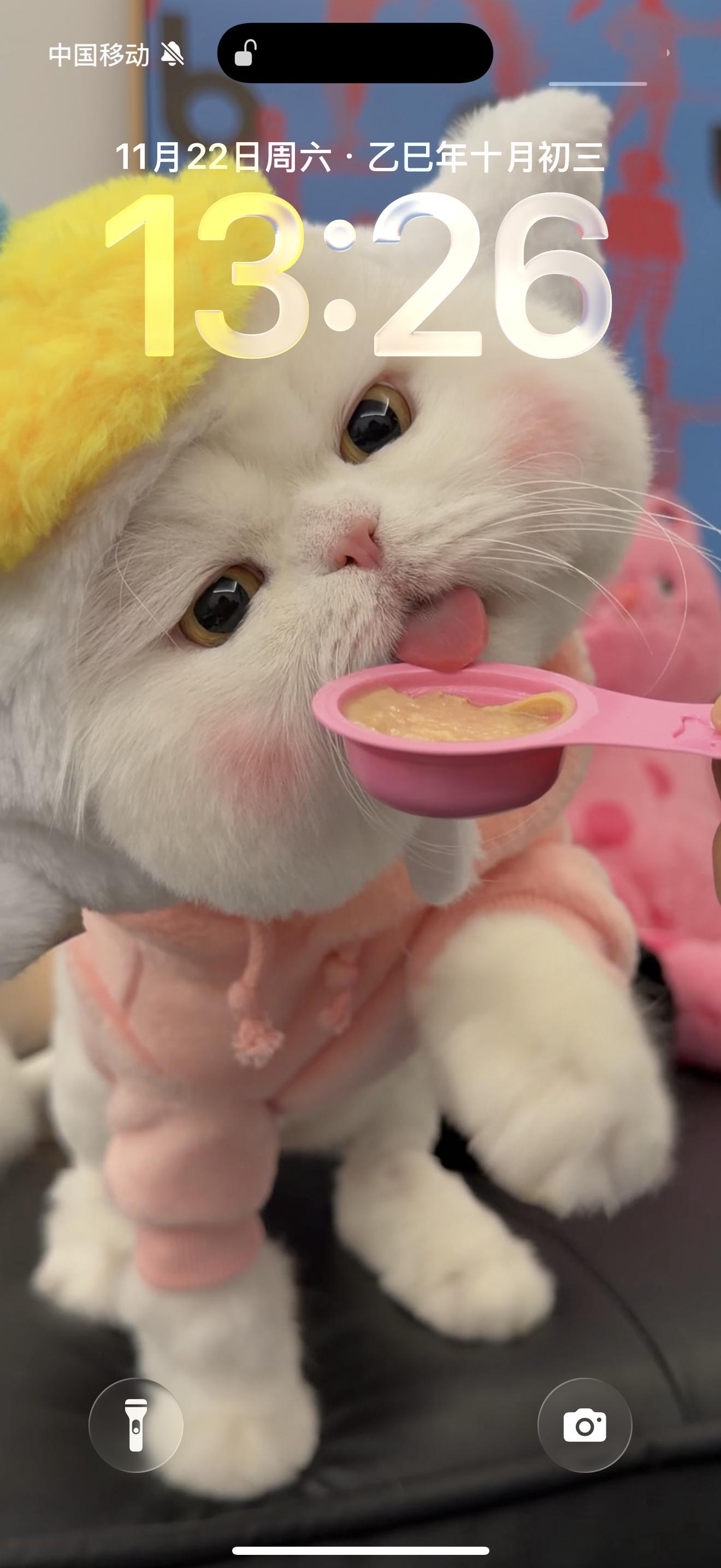腮红猫球球  我可太喜欢我的壁纸了 