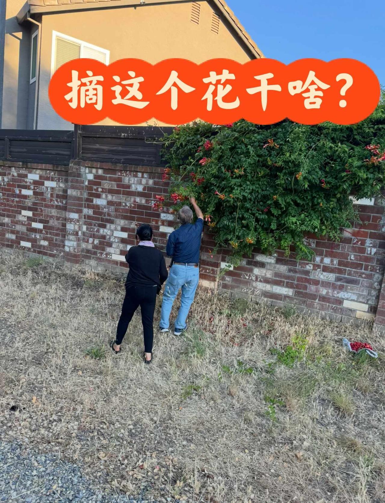 女朋友沉迷言情网剧怎么办？在线求救🆘
兄弟们，我现在真的有点破防了……
我女朋