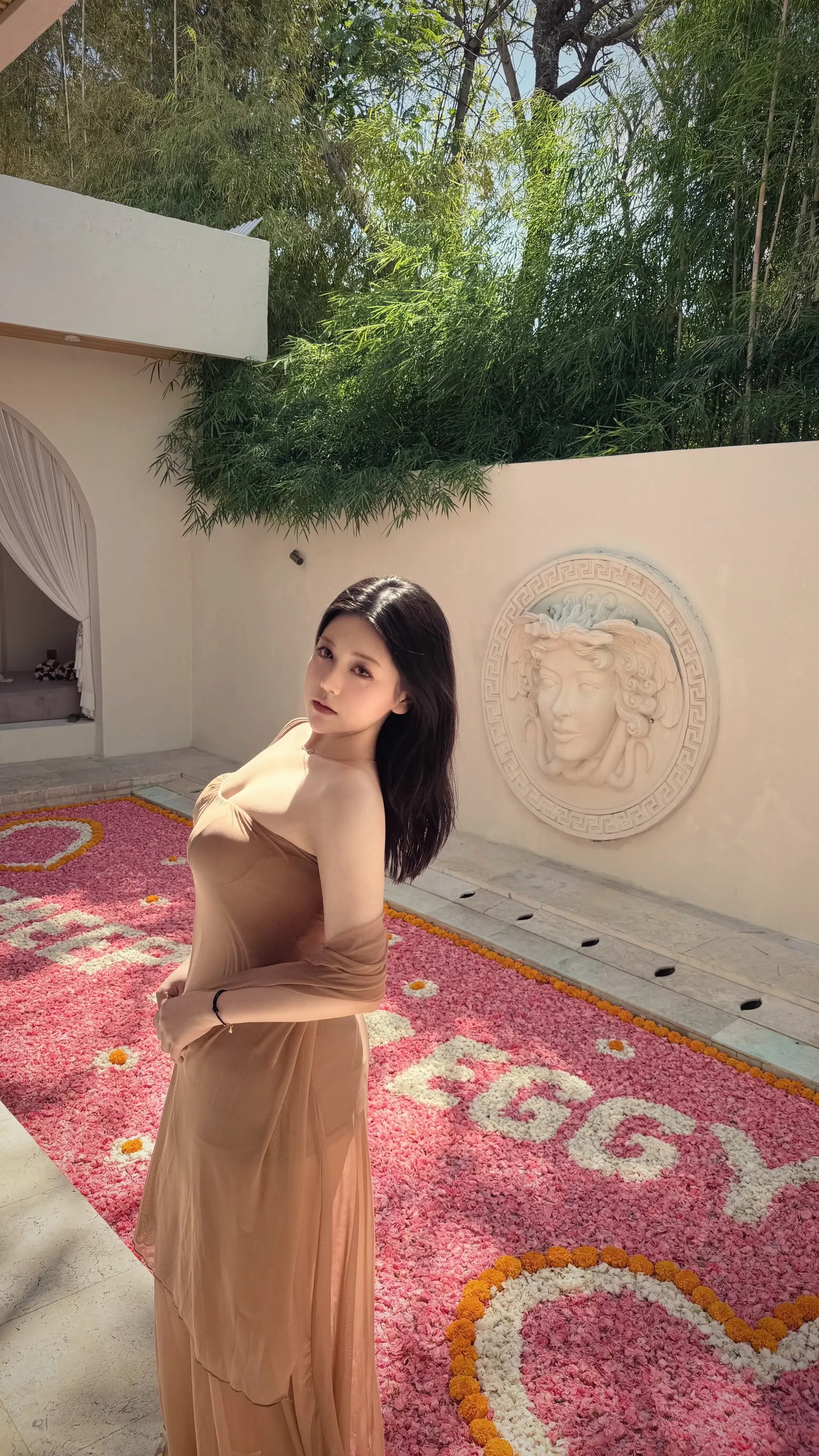 泳池花瓣 度假