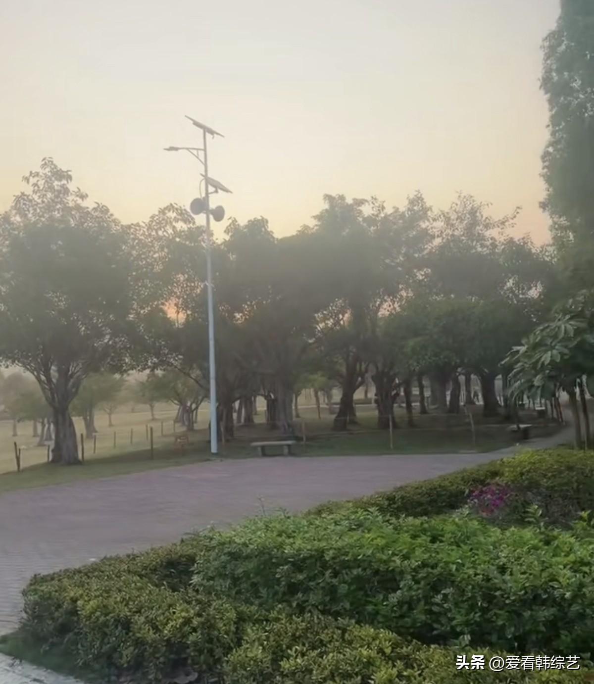 春日生活打卡季晨雾裹着淡橘色天光，漫过公园的树影与长椅。路灯的轮廓浸在软雾里，风