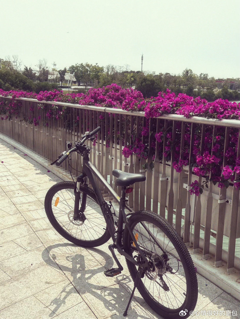 也是过上了骑行上班的牛马生活 