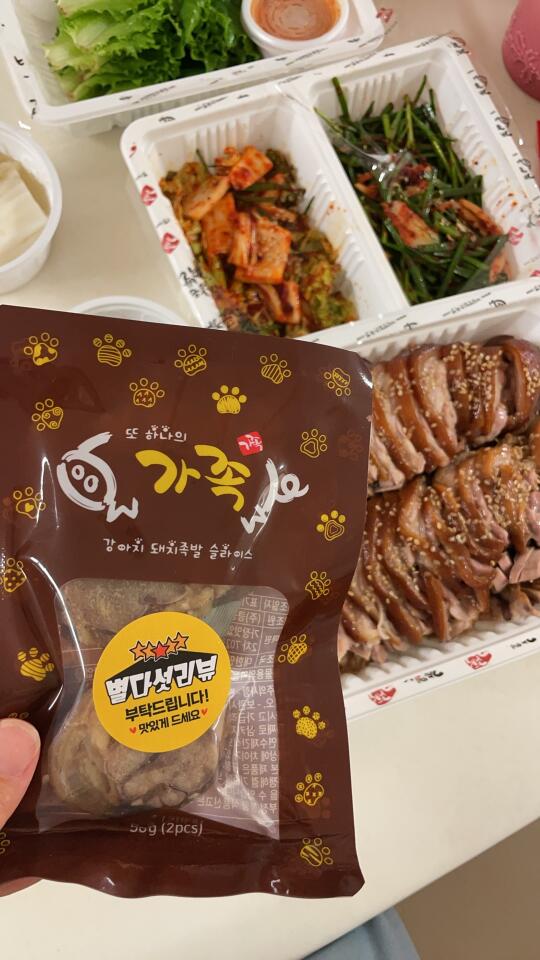 猪蹄老板送给小狗的