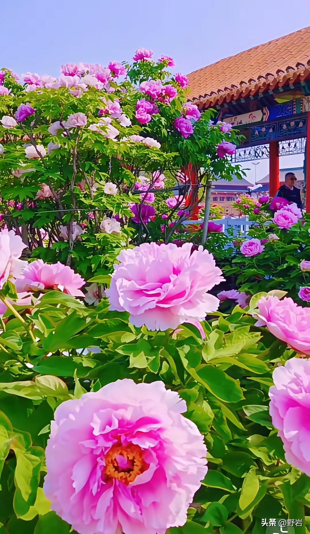 百年难遇的好男人，中3条就敢嫁，全中你是上辈子积福
 
1. 情绪稳定，不把最坏