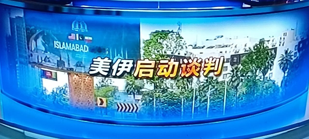 巴基斯坦这个时候在业已存在的纷繁复杂的中东地区“插进一脚”，使得该地区的情势显得