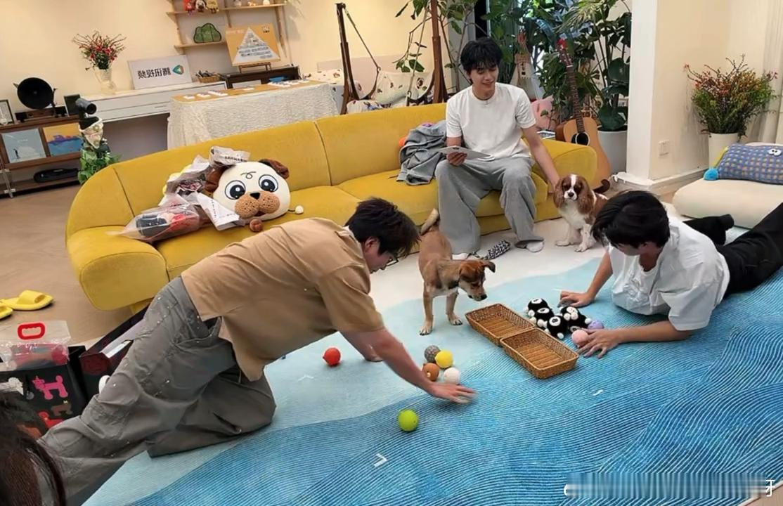 没想到能看到毛不易俯卧撑毛不易好长一条人属实意想不到！解锁运动版毛不易，俯卧撑场