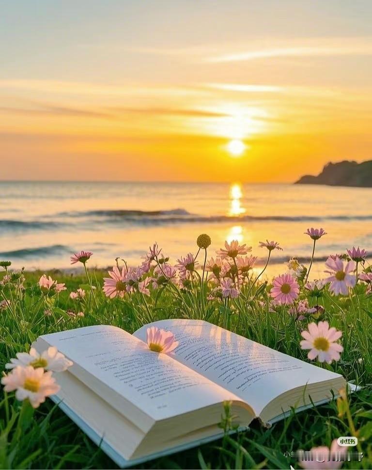 你是否也曾被生活追着跑，在“内卷”与“躺平”之间反复横跳，感觉身心被掏空？
  