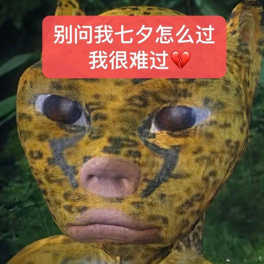 今年七夕最大的赢家是牛吧……牛郎不用来了，因为都去看牛来了 