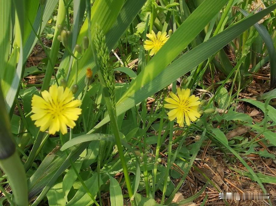 视频里有个儿媳妇提出一个扎心的问题：
如果婆婆跟儿媳妇发生冲突后，长时间不联系，