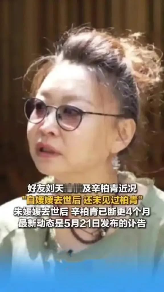 刘天池一语道破：朱媛媛走后，辛柏青“消失”了？成年人的告别是静音模式！
听到刘天