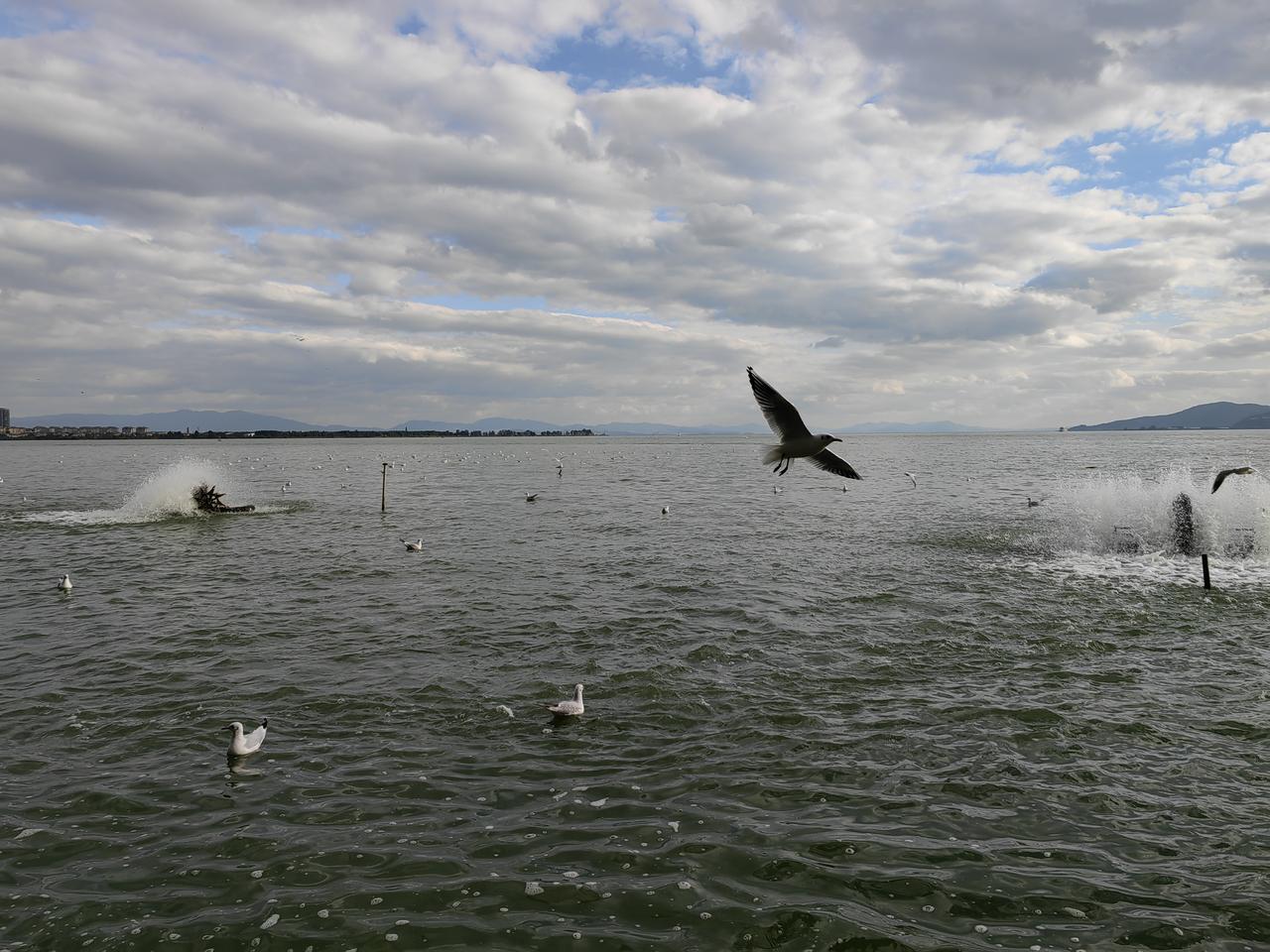 工作文化是长庆油田比较根本的东西，注意在工作2的阶段，使用PDCA循环，充分阐述