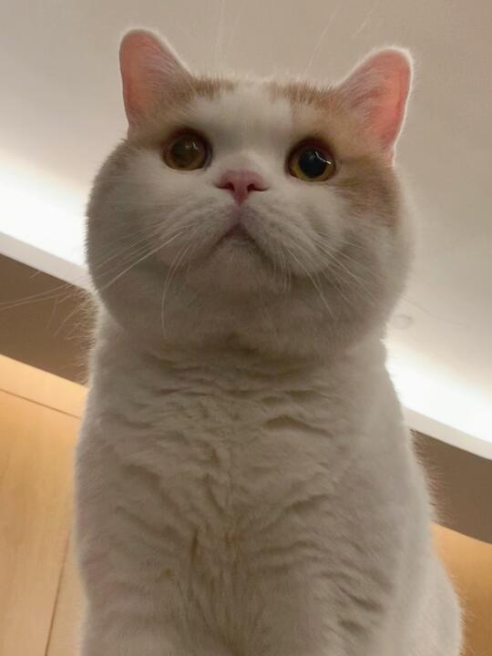 人 和咪嗦嗦 放假都去哪里丸了