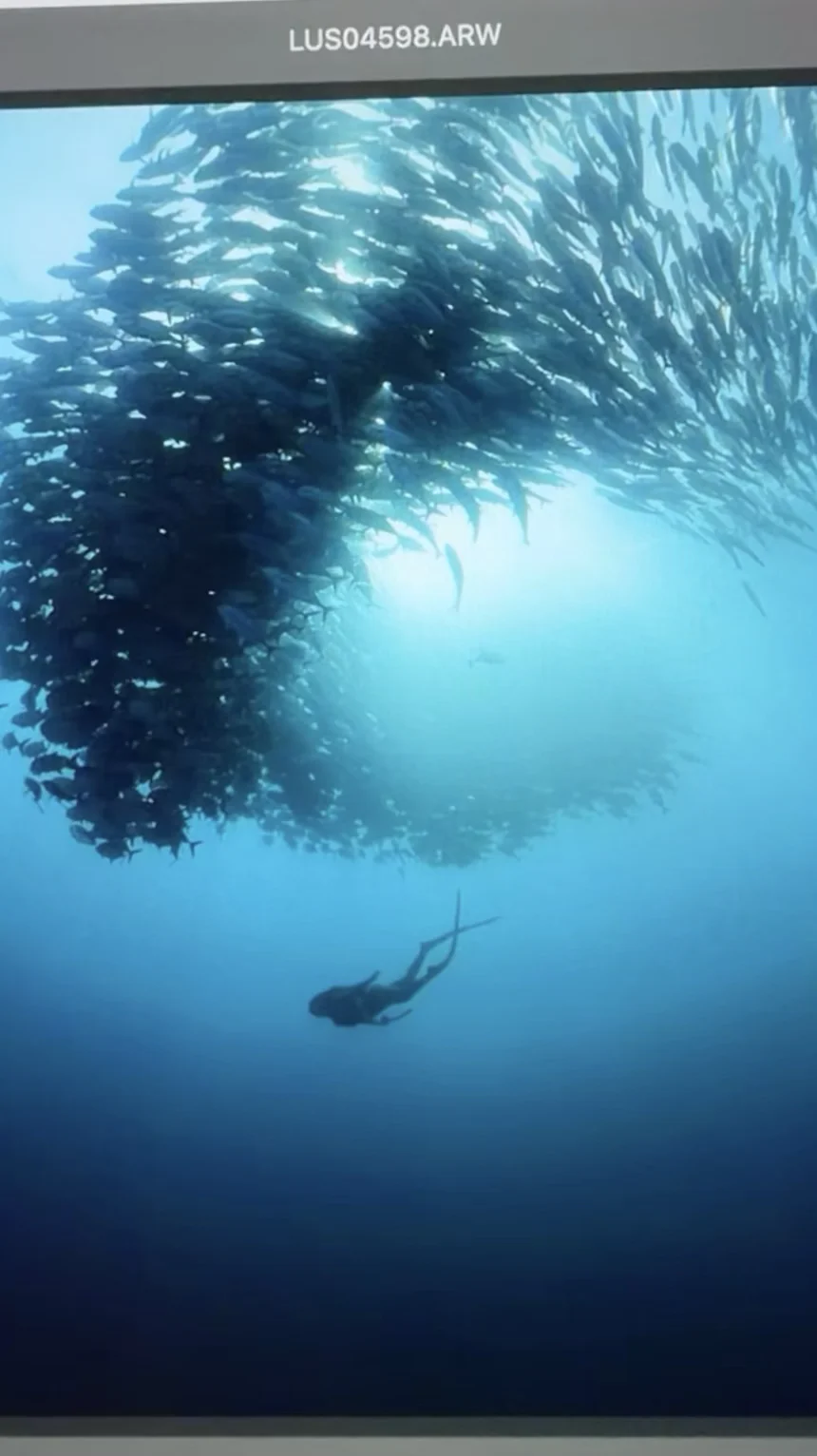 原图🔥朋友圈说图1可以直接封神｜Jack fish