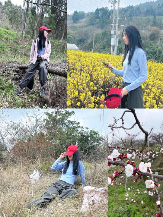 杏花漫野🌸春日徒步大环线—青白江
