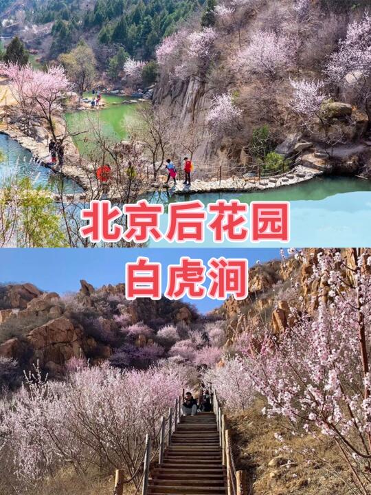 3.22/23🌸北京后花园の春日暴走计划‌ 🌸