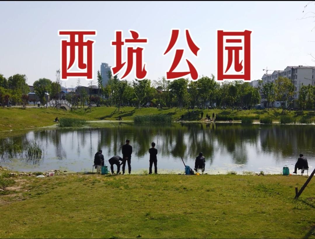 河南周口西坑公园改造后焕然一新你怎么看？
河南周口西坑公园改造后焕然一新，简直太