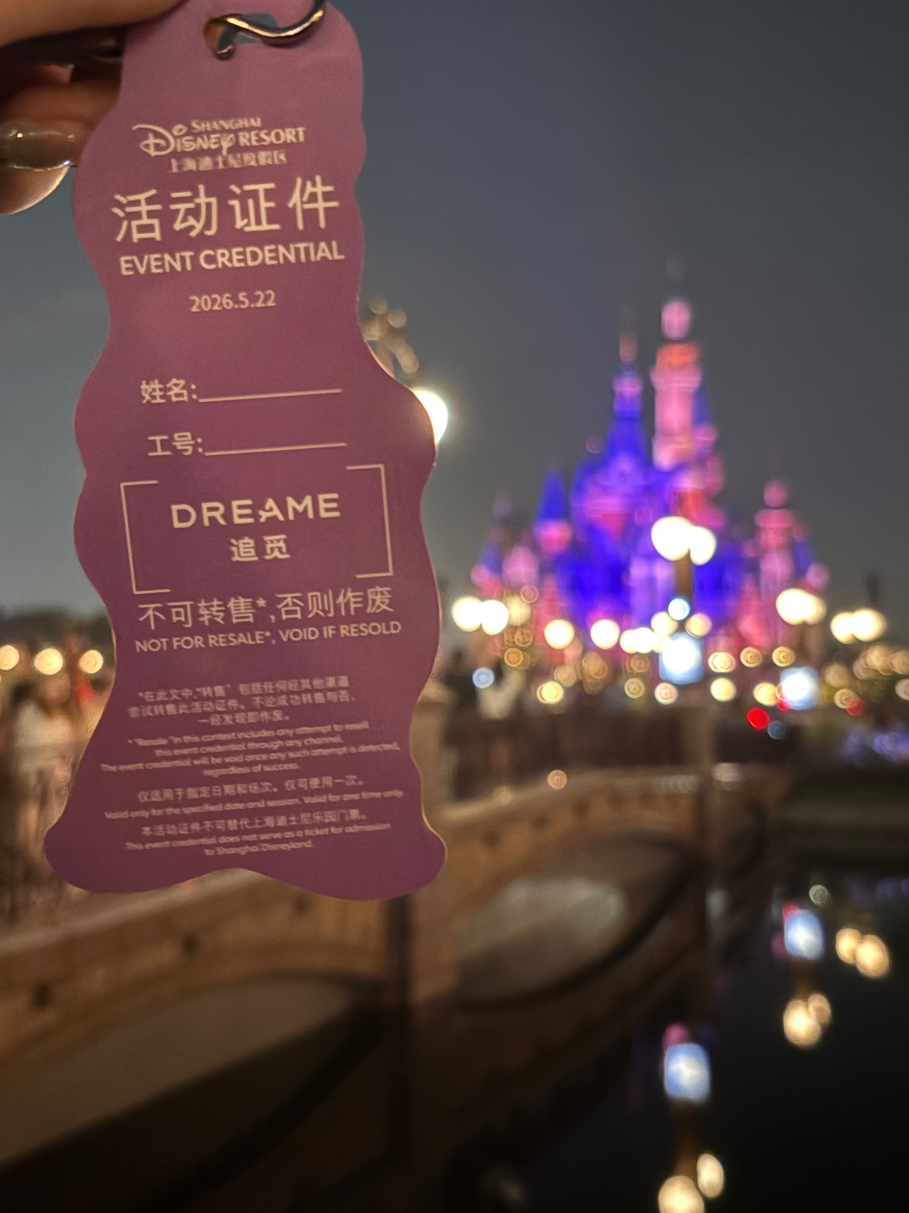 追觅真会  带员工玩迪士尼我也蹭玩一下还是喜欢烟花 一下子就成小孩子了