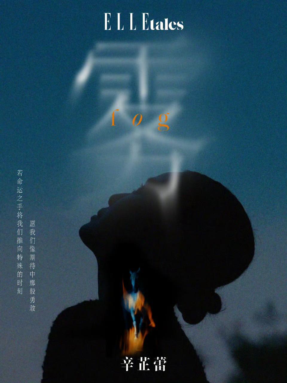 辛芷蕾ELLE11月刊封面 ​​​