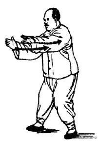 2025.03.02
学习85式传统杨式太极拳拳架笔记：
优化练习第二十七——肘