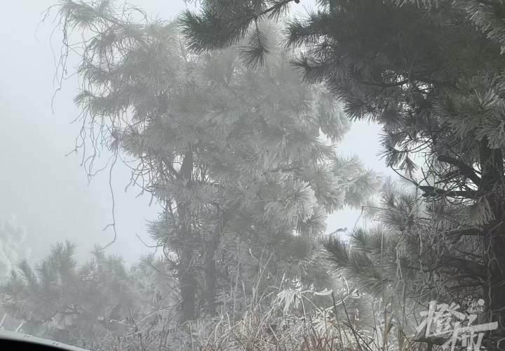 入冬后，杭州不少山区因低温形成的雾凇美景和雪景吸引了众多游客，但登山者被困事件也