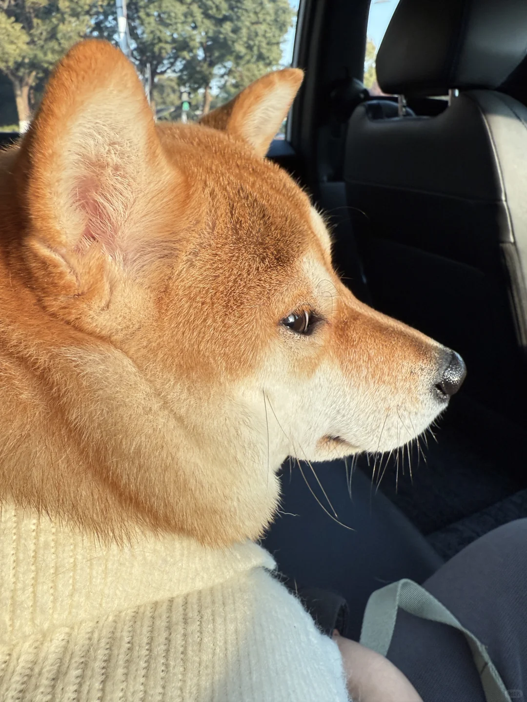 这侧脸  想咬一口不过分吧？