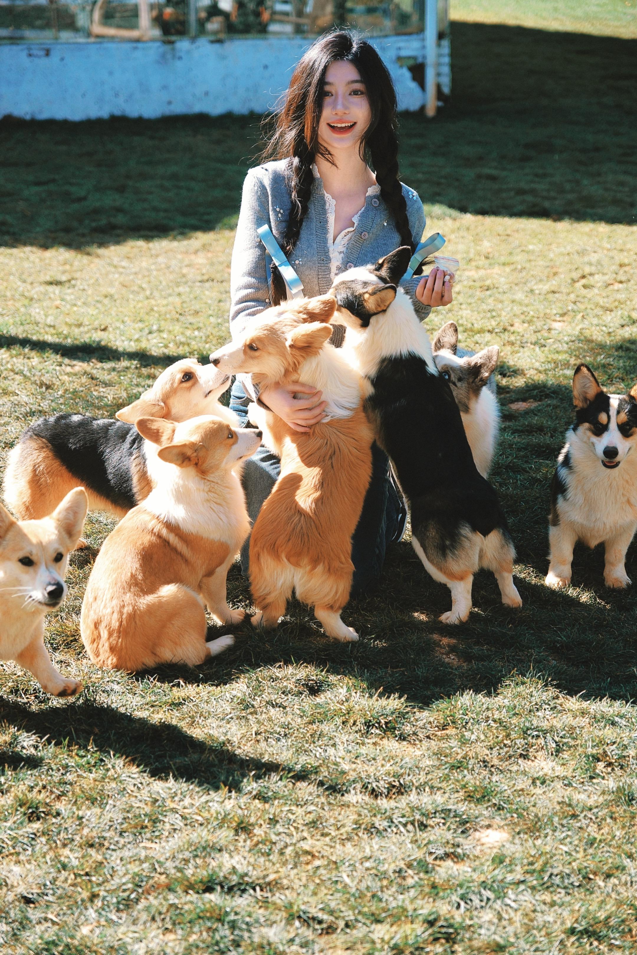 闯入了小狗的童话世界🤍