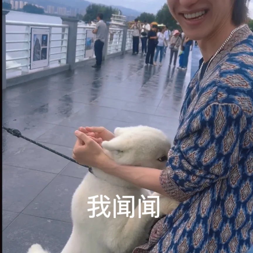 我闻闻🐶