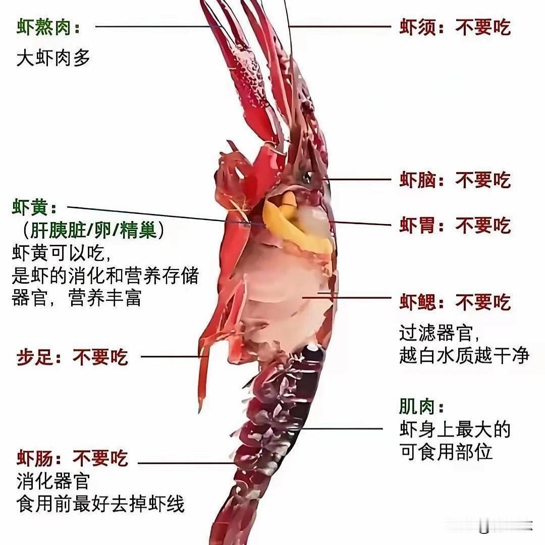 我的最爱，夜宵中的扛把子！