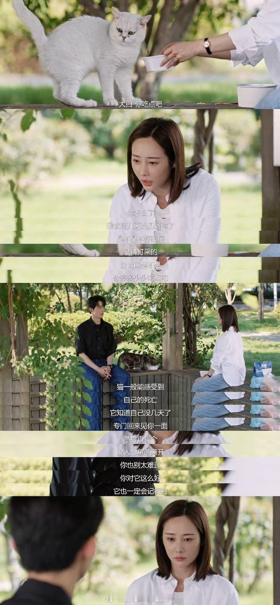 #李纯说向中是榴莲型人格#李纯对向中的理解真的很到位，榴莲型人格形容得太贴切了！