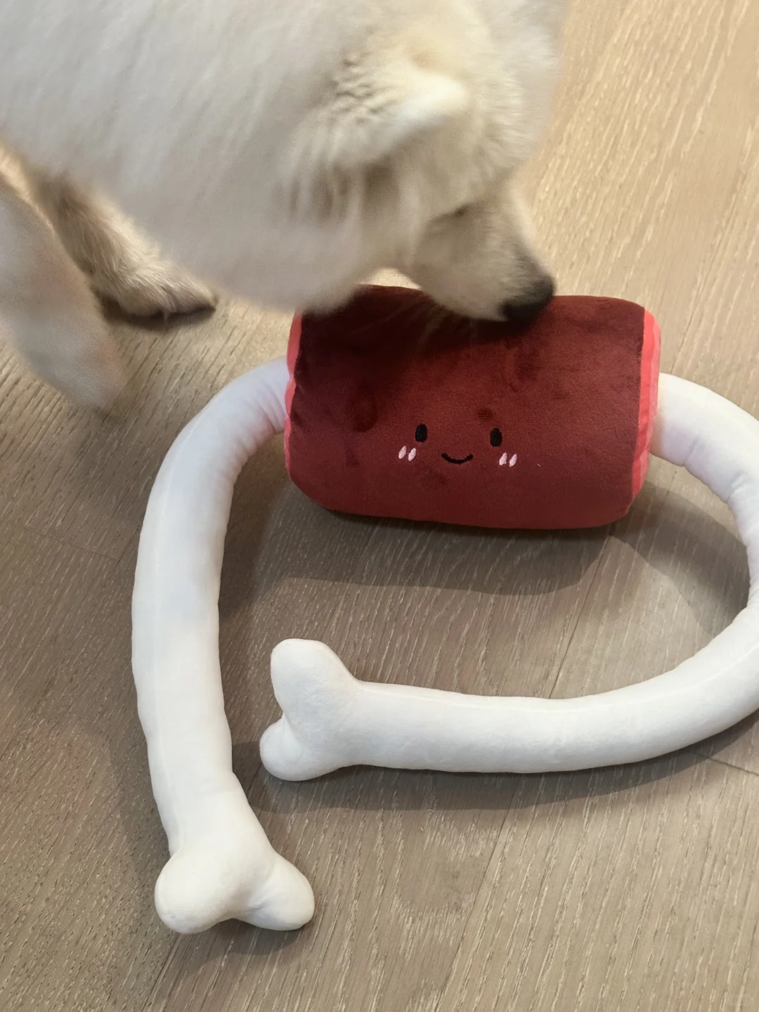 本年度最费主人的狗狗玩具诞生了👐🏻