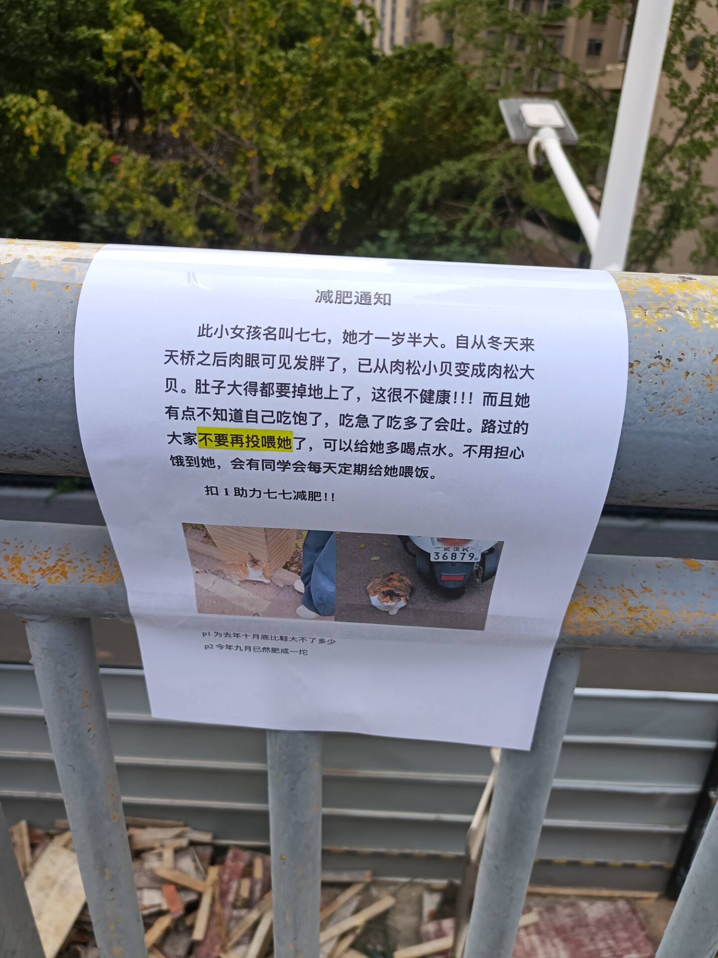 幸好咪不识字 ​​​