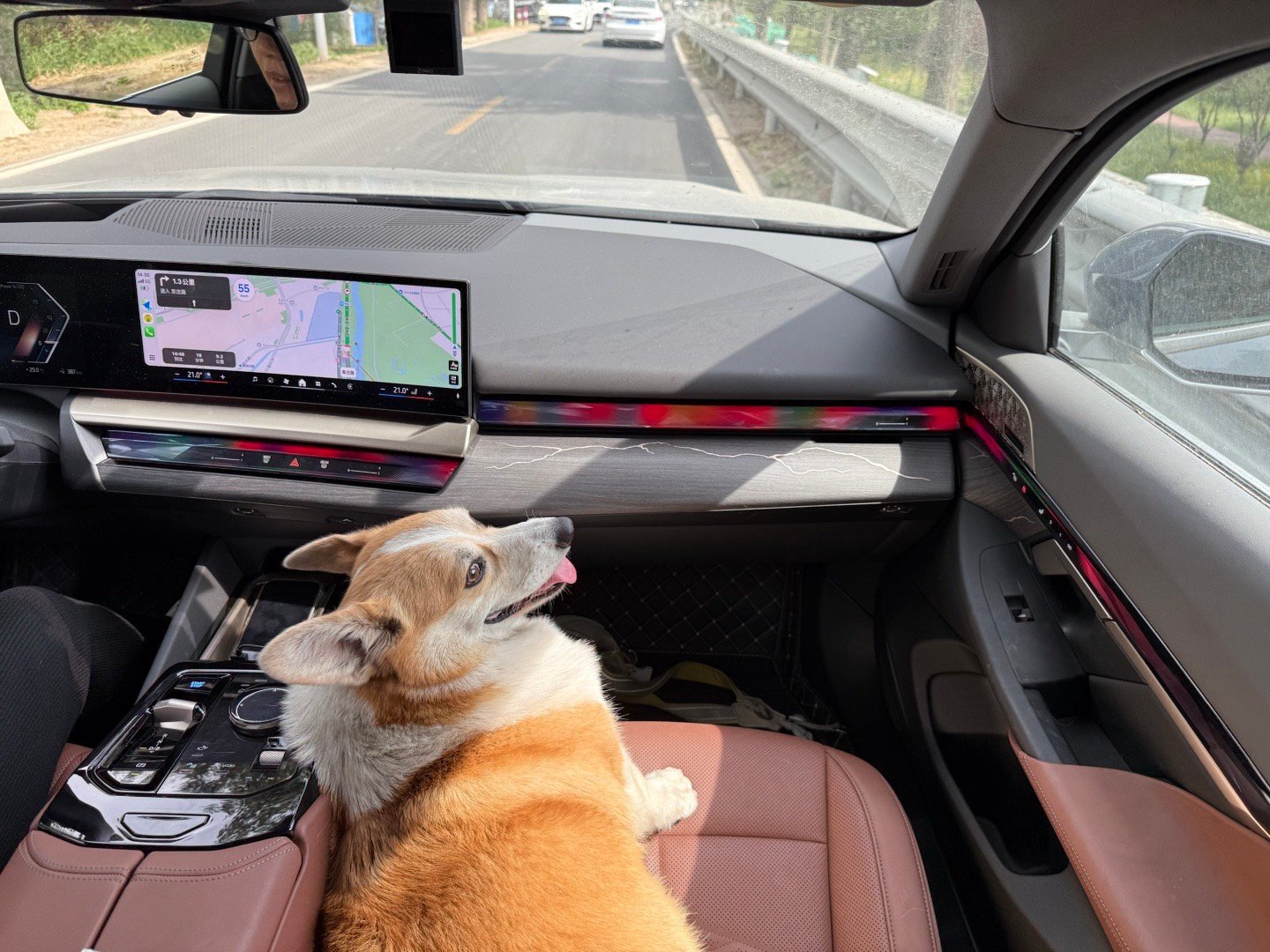 董秘开车，小猪坐副驾，我坐老板位。《论家庭帝位》 ​​​