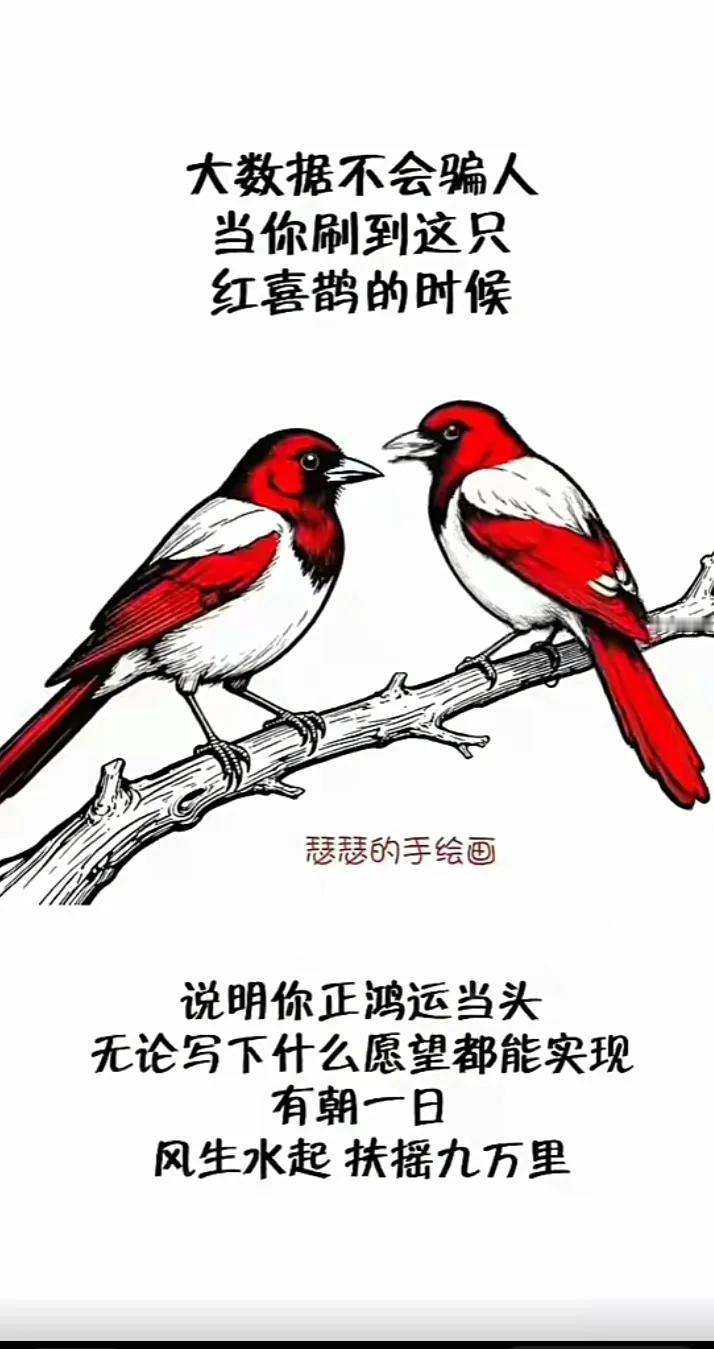 红喜鹊登枝报喜
大数据送鸿运眼前
见此吉兆
心愿皆成
此后风生水起
扶摇直上九万