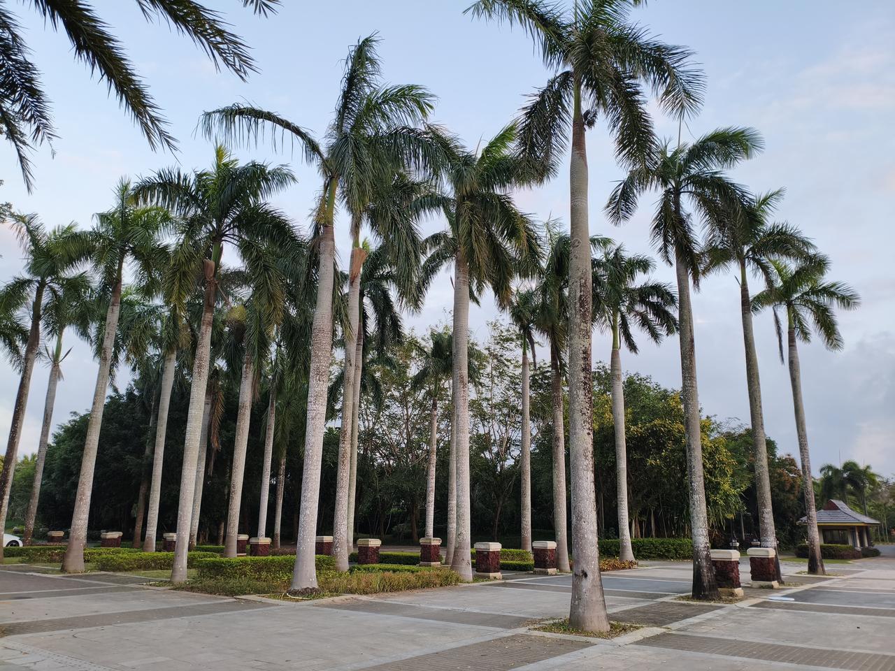 才睁眼，退休可真好，天天睡到自然醒。退休的老友们，你们睡眠咋样，也睡到自然醒吗？