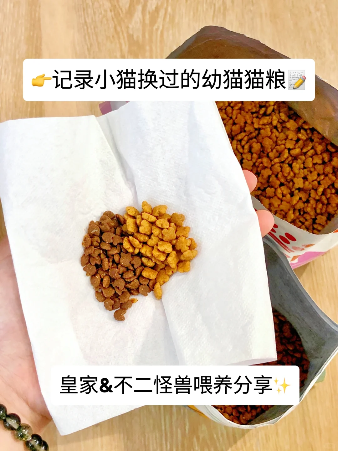 记录小猫的换粮经历｜皇家&不二怪兽幼猫猫