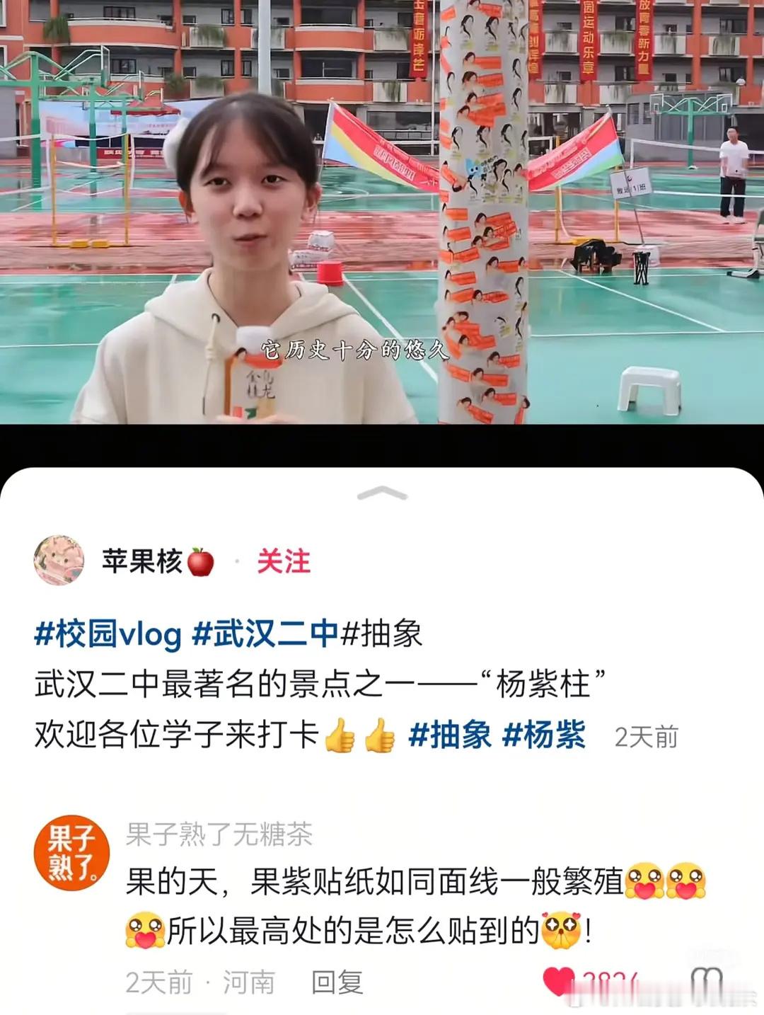武汉二中杨紫柱！！果子熟了无糖茶你真的火了 ​​​