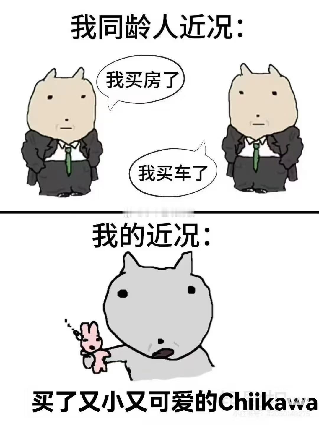 一定要学会根据使用频率买东西真心建议所有人都养成这个消费习惯，我现在买东西再也不