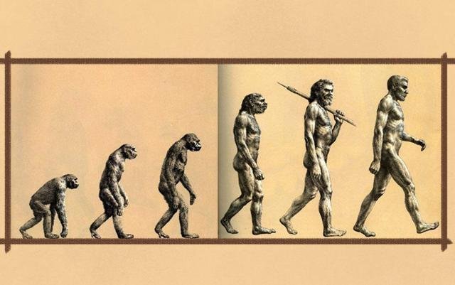 刚刚和妹妹聊天，她说她见到了如下这张图。问我：我们是这样一步一步进化过来的吗？说