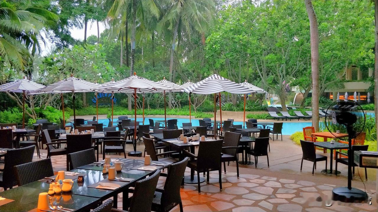 小泽这回玩大了，他竟然公开诅咒让大帝死？这是不是太疯狂了？他就不怕被大帝斩首吗？