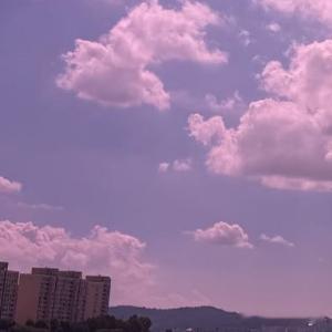 每日一善[超话] 🩵阳光信用 每日‬一善 善良是一束美丽的玫瑰，当你赠送他人时
