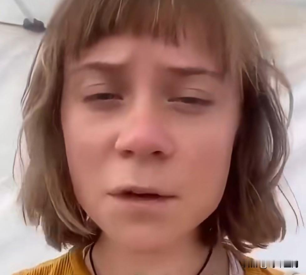 格雷塔被以色列军队扣押并请求援助

“如果你正在观看这段视频，这意味着我遭到了以