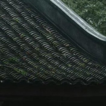 每日一善 阳光，是前行的火，点亮我们前行的灯；阳光，是前行的灯，照亮我们前行的路