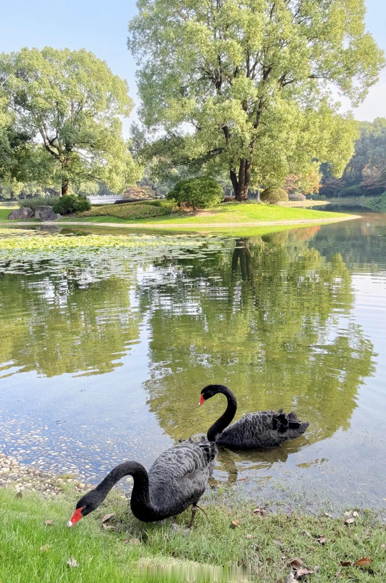 人在最难最无助的时候，恰恰也是快要转好运的时候，为什么呢？因为在转好运之前，老天