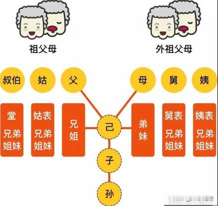 江苏南通，一72岁的独居老人骑着三轮车去镇上买降压药，在十字路口，一辆轿车突然从