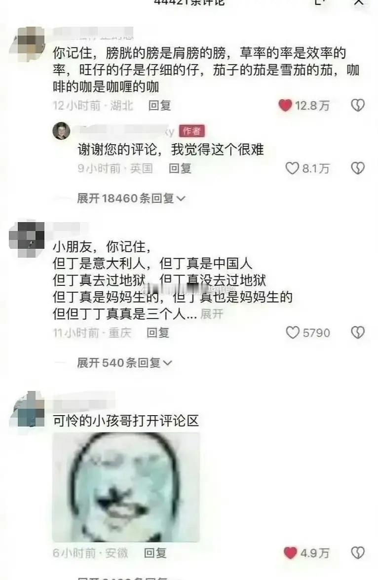 当外国的小孩哥在网上炫耀自己的中文水平时，评论区太逗了～🤣🤣 