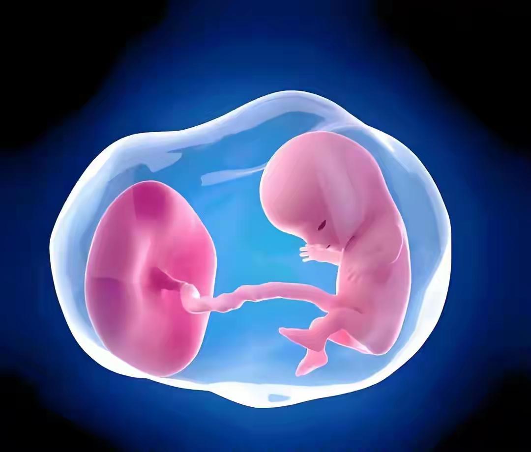 丧偶妈妈想生亡夫孩子被拒，法院改判到底为啥？
 
2020年福州李女士丈夫离世后